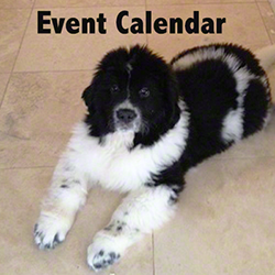 Event Calendar